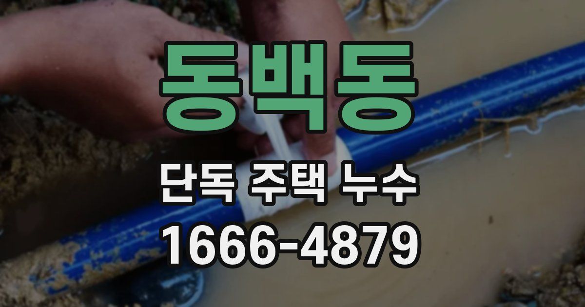 동백동 단독 주택 누수