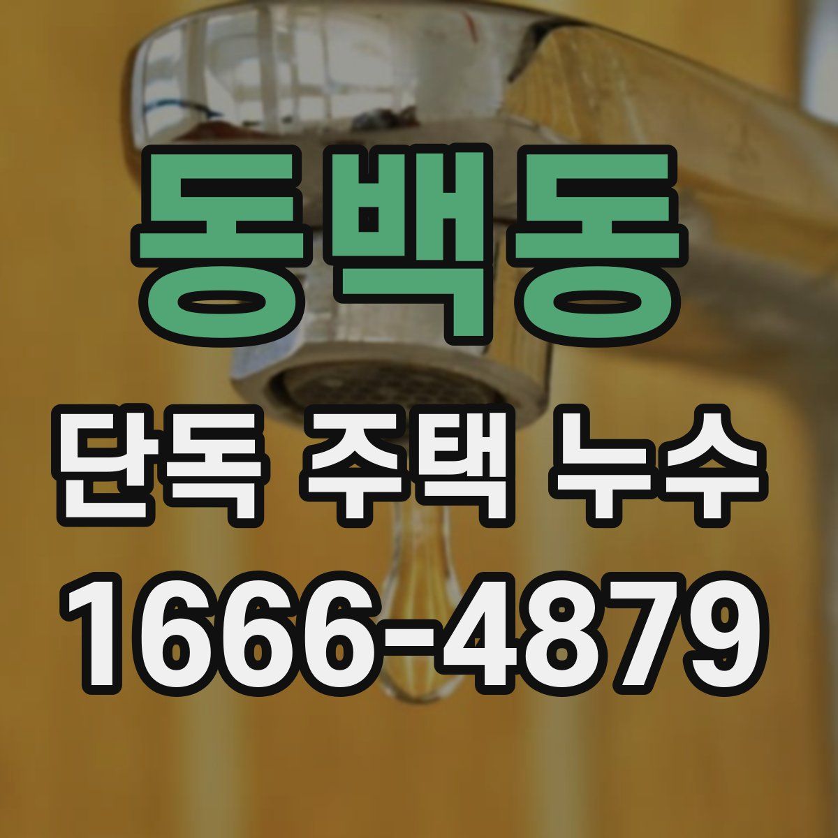 동백동 단독 주택 누수
