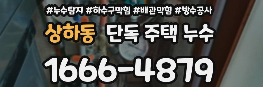 상하동 단독 주택 누수