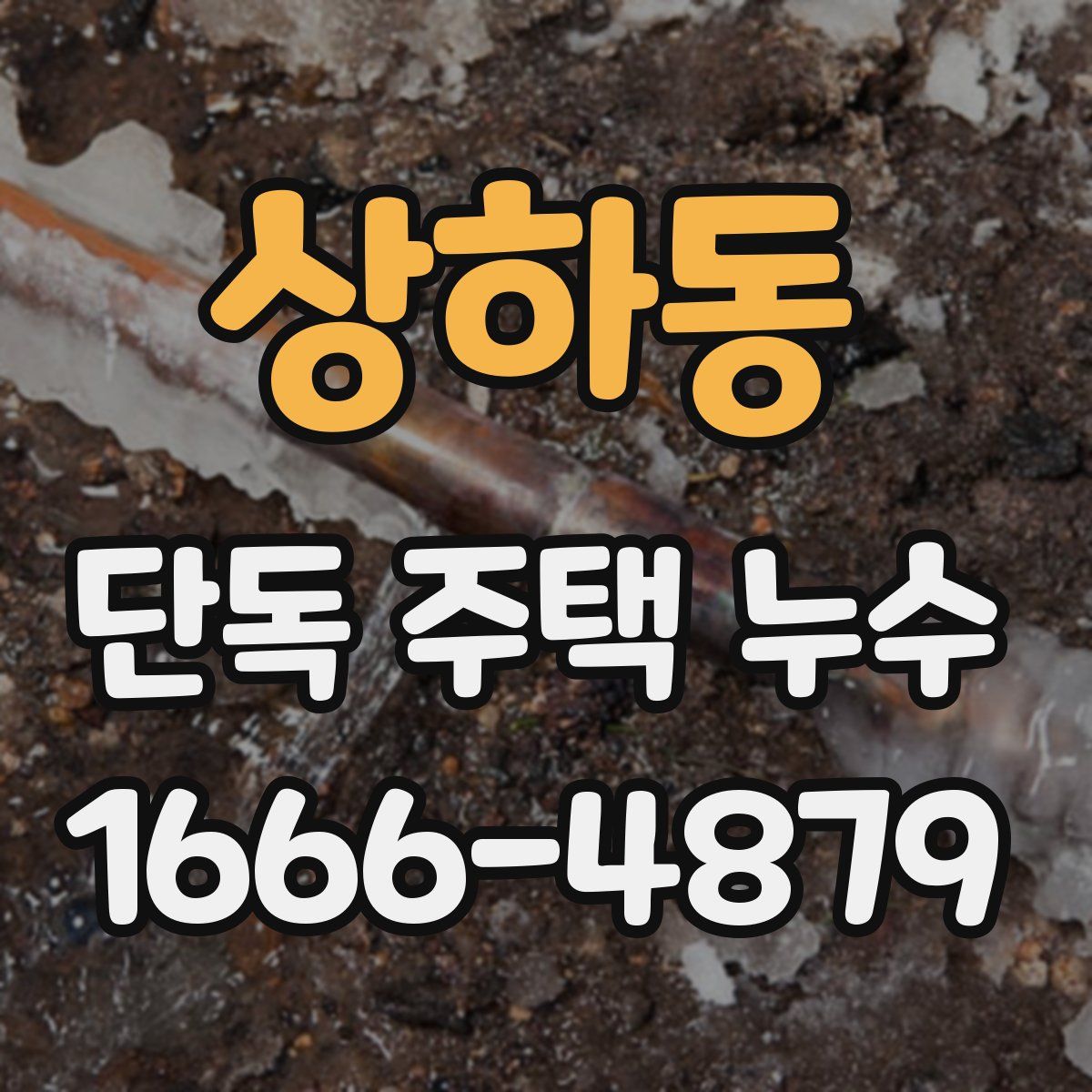 상하동 단독 주택 누수