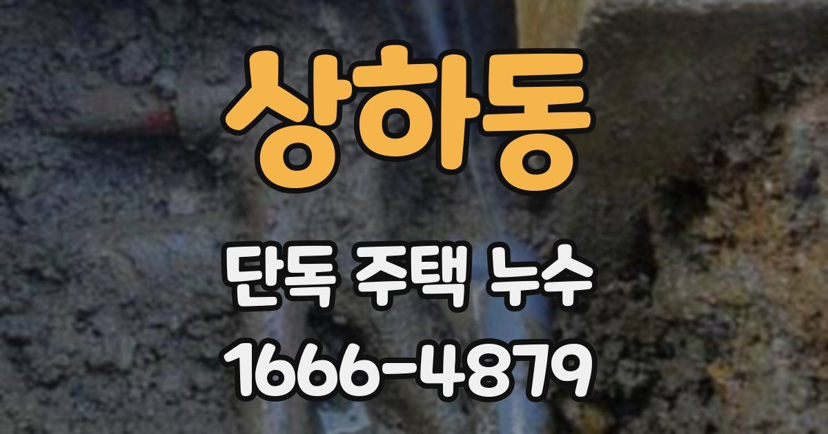 상하동 단독 주택 누수