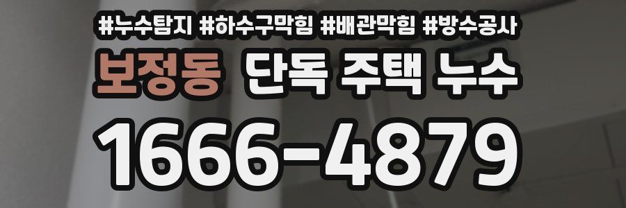 보정동 단독 주택 누수
