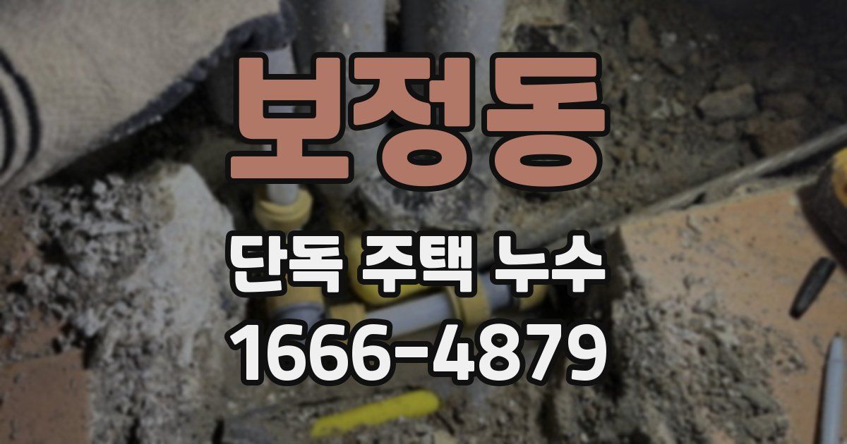 보정동 단독 주택 누수