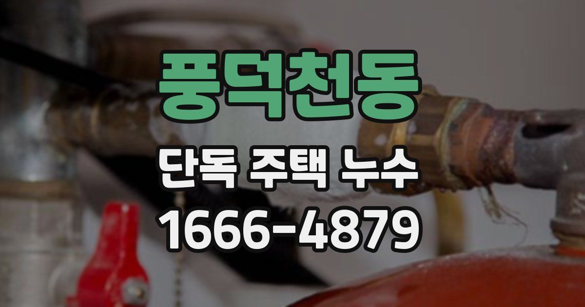 풍덕천동 단독 주택 누수