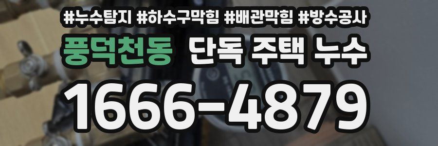 풍덕천동 단독 주택 누수