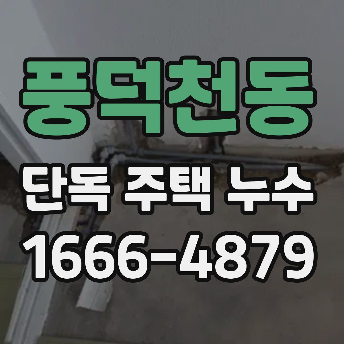 풍덕천동 단독 주택 누수