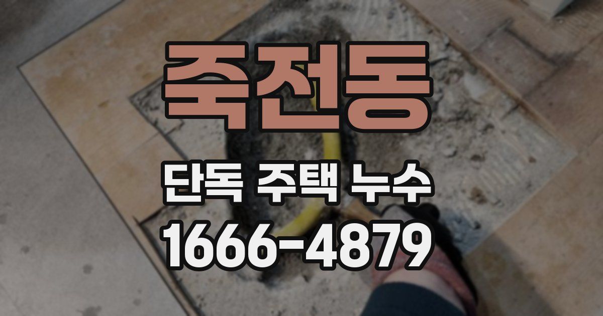 죽전동 단독 주택 누수