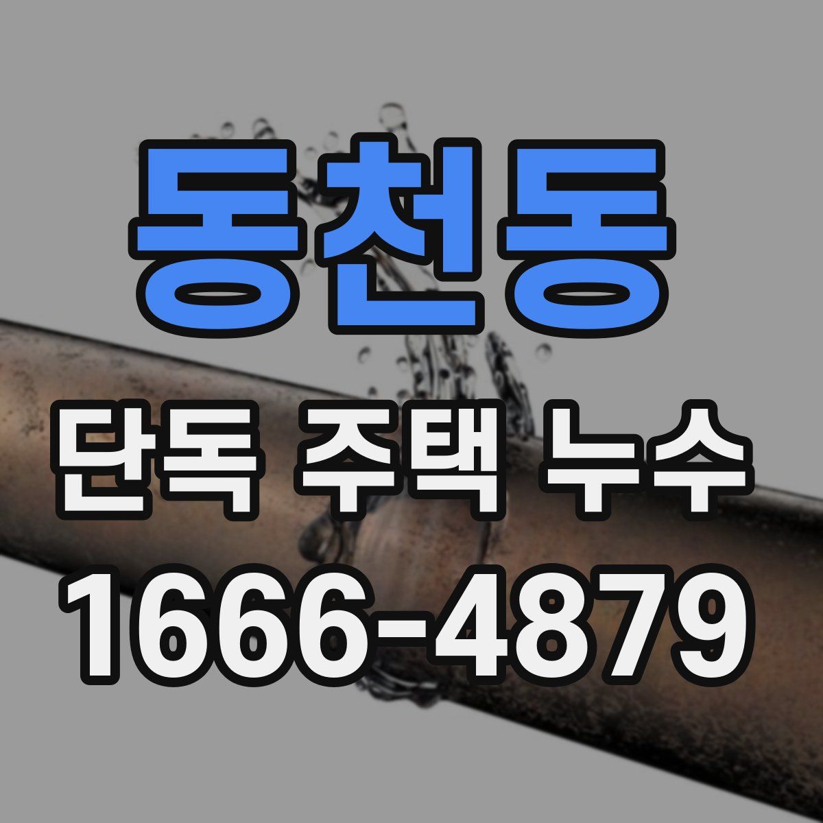 동천동 단독 주택 누수