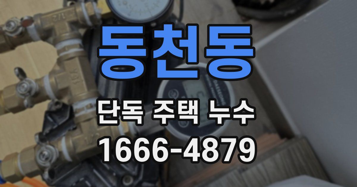 동천동 단독 주택 누수