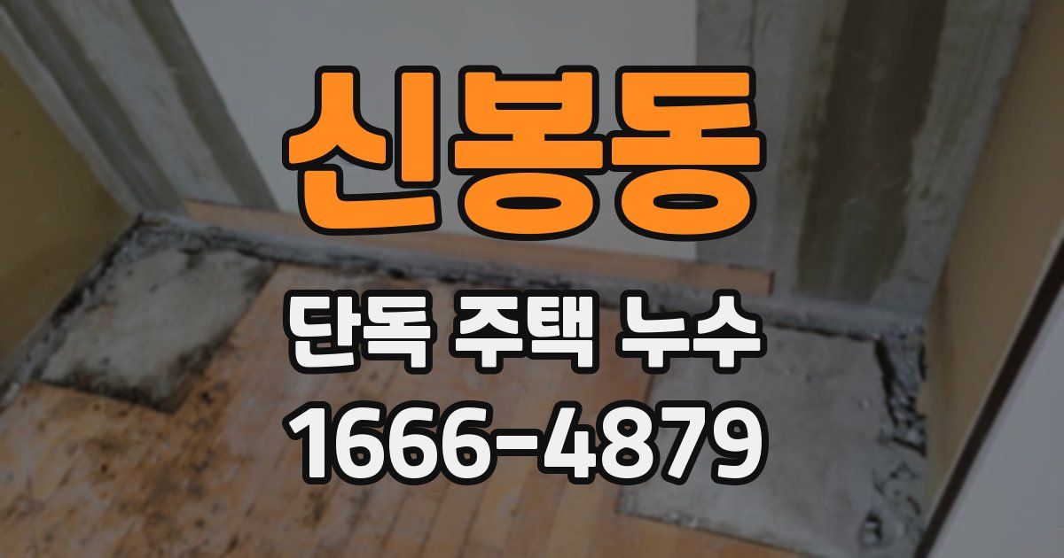 신봉동 단독 주택 누수