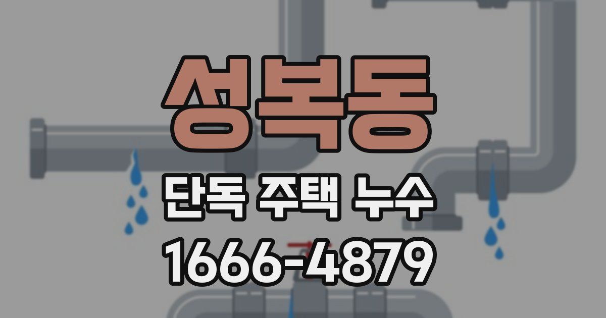 성복동 단독 주택 누수