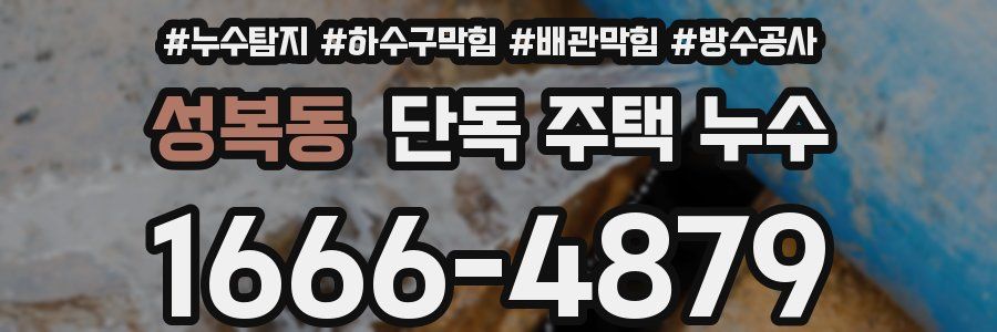 성복동 단독 주택 누수