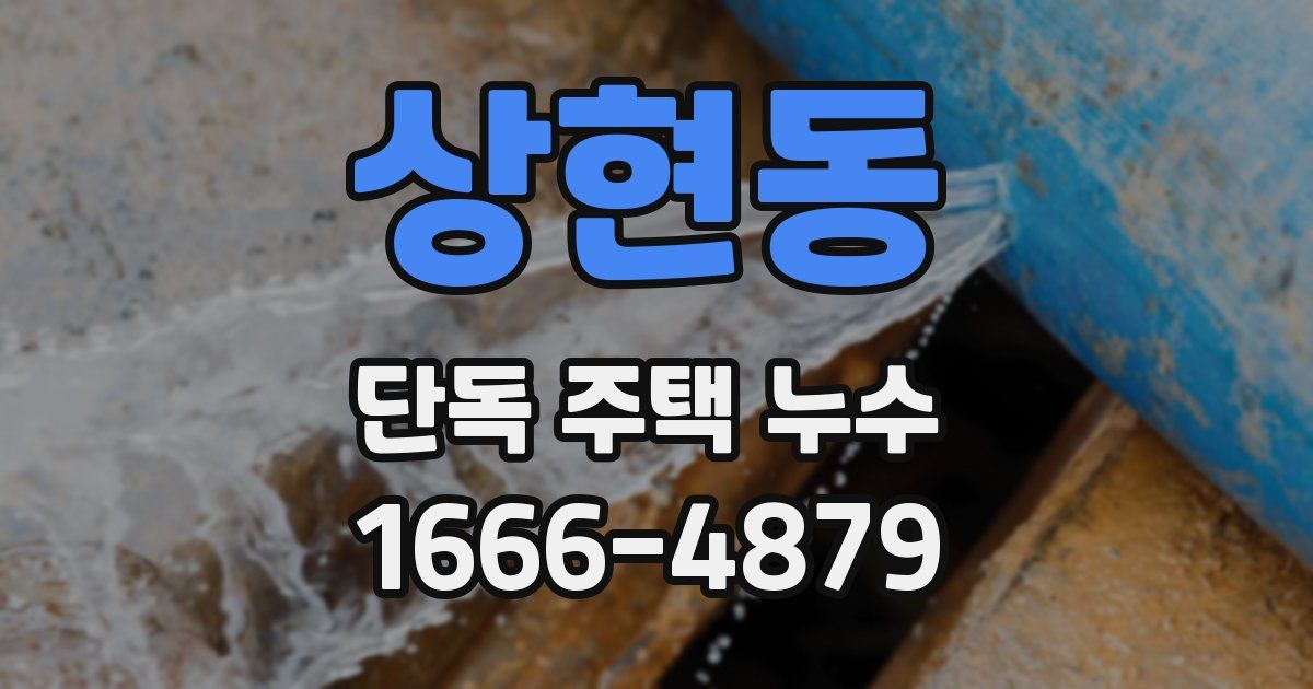 상현동 단독 주택 누수