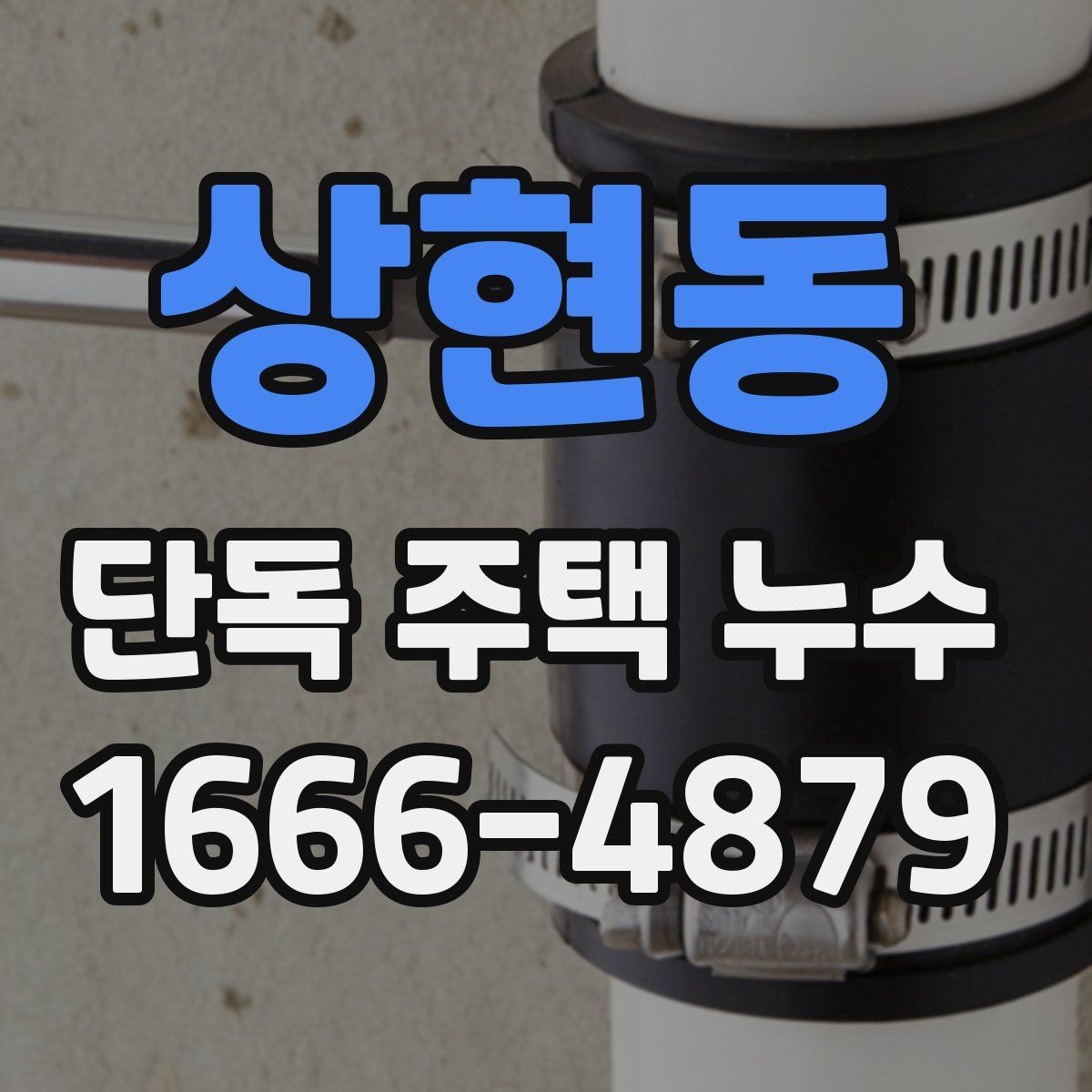상현동 단독 주택 누수