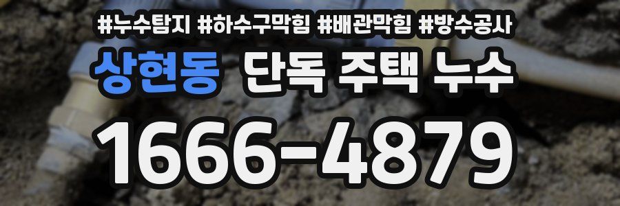 상현동 단독 주택 누수
