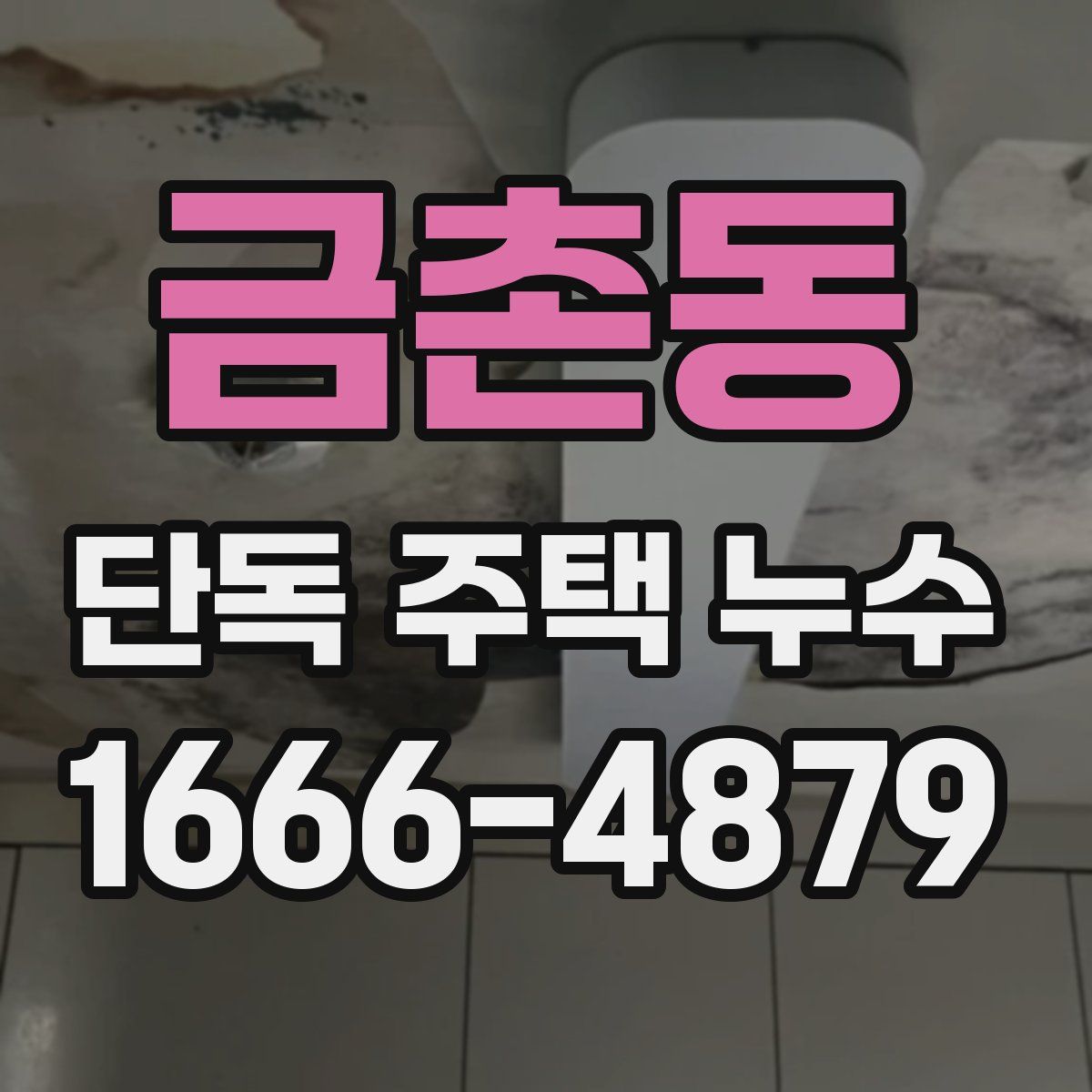 금촌동 단독 주택 누수