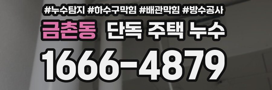 금촌동 단독 주택 누수