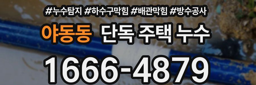 야동동 단독 주택 누수