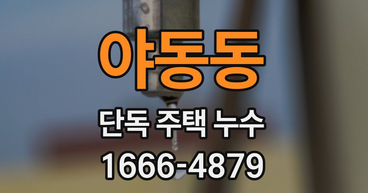 야동동 단독 주택 누수