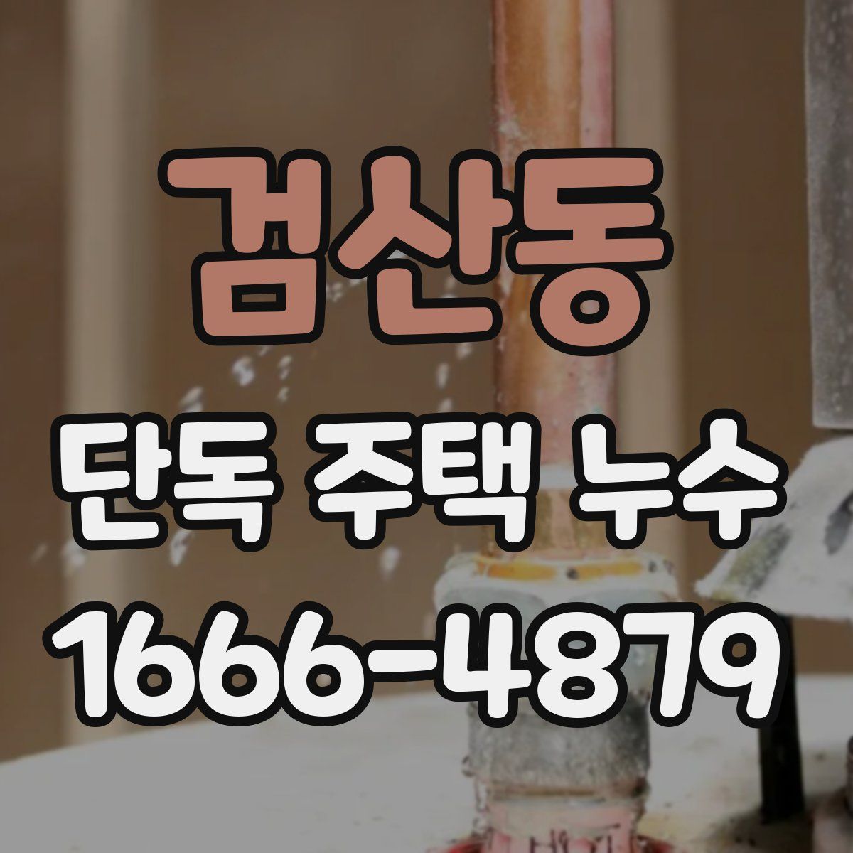 검산동 단독 주택 누수