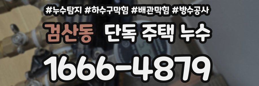 검산동 단독 주택 누수