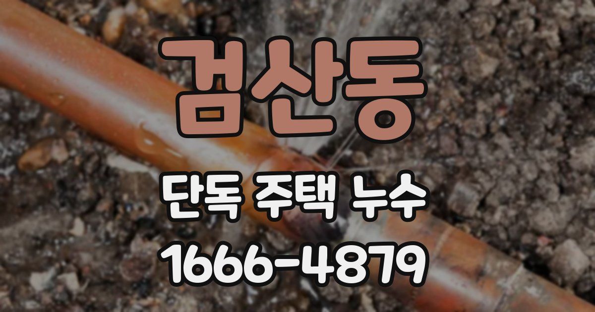 검산동 단독 주택 누수