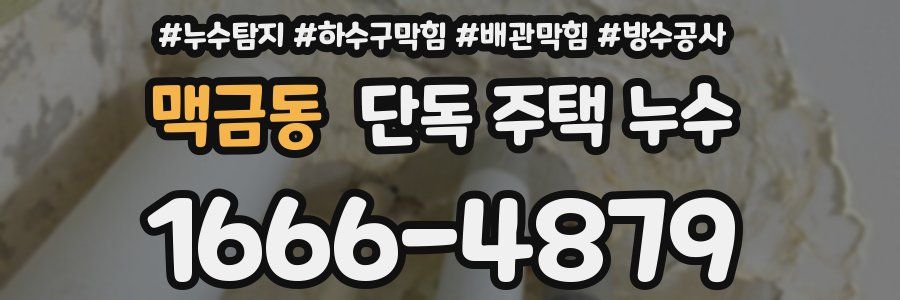 맥금동 단독 주택 누수
