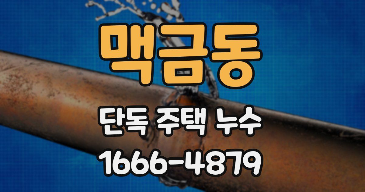맥금동 단독 주택 누수
