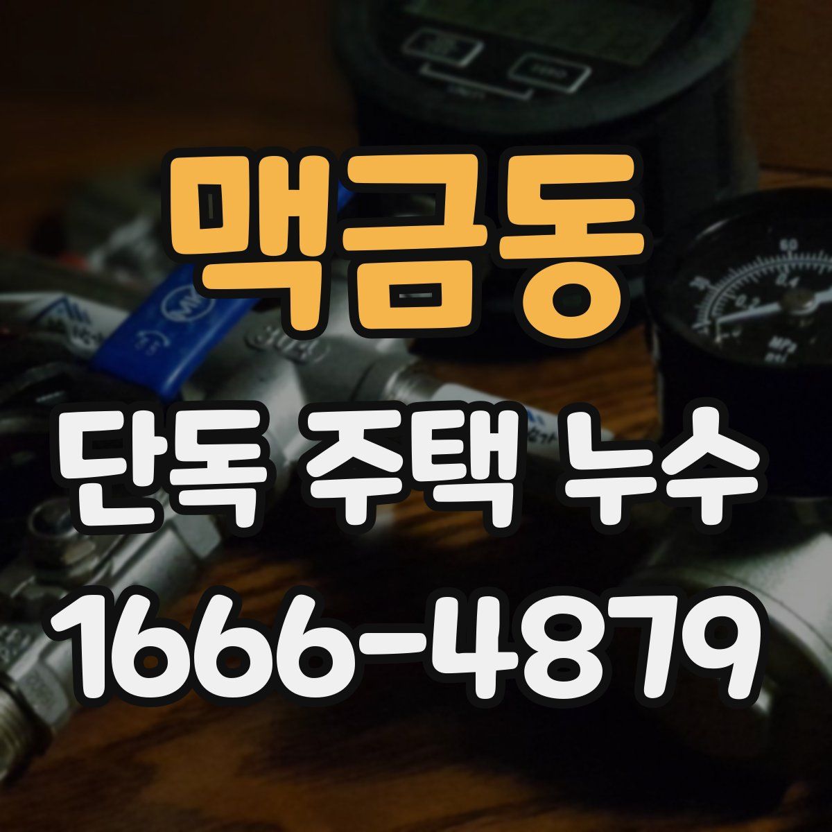맥금동 단독 주택 누수
