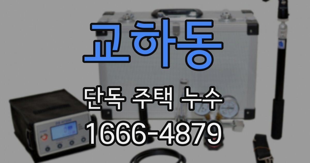교하동 단독 주택 누수