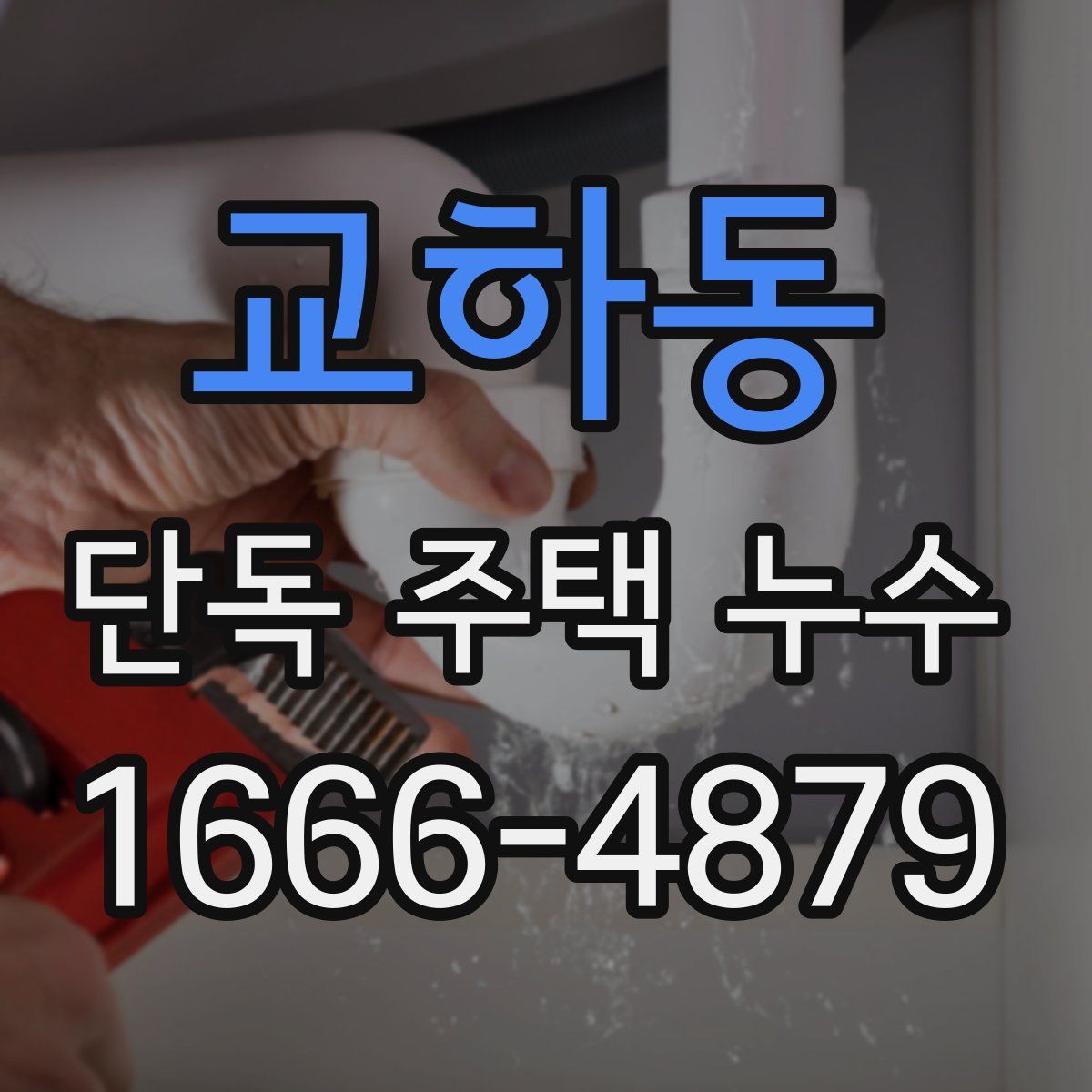 교하동 단독 주택 누수