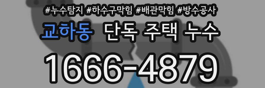 교하동 단독 주택 누수