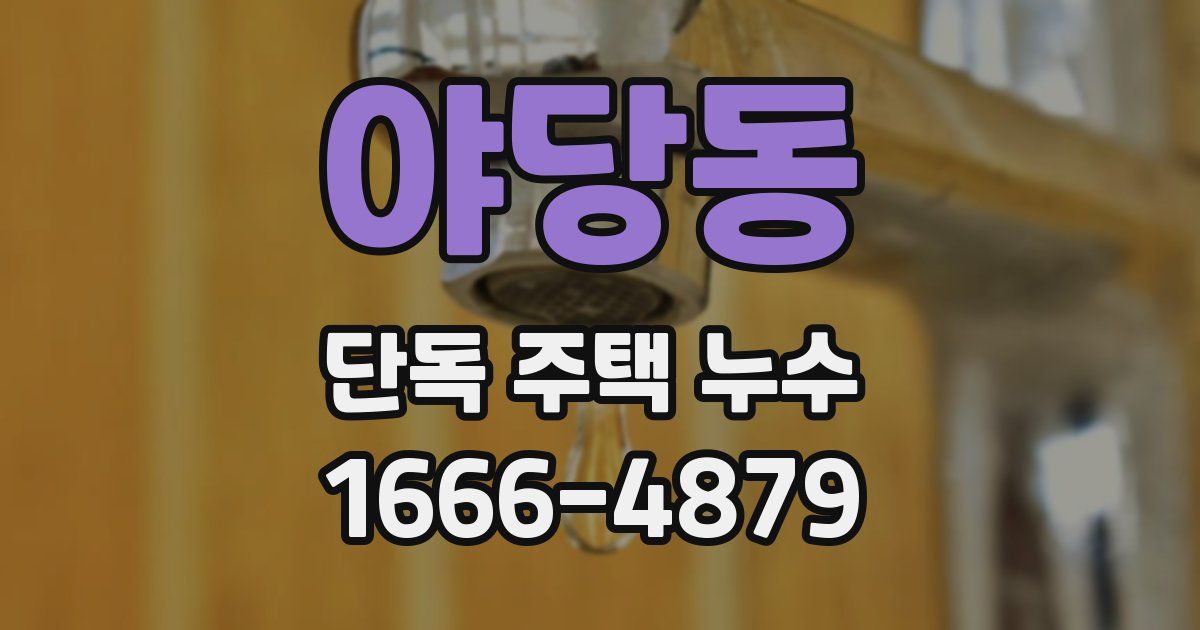 야당동 단독 주택 누수