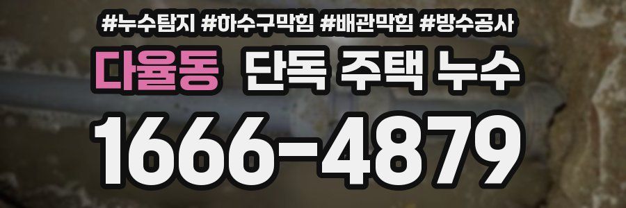 다율동 단독 주택 누수