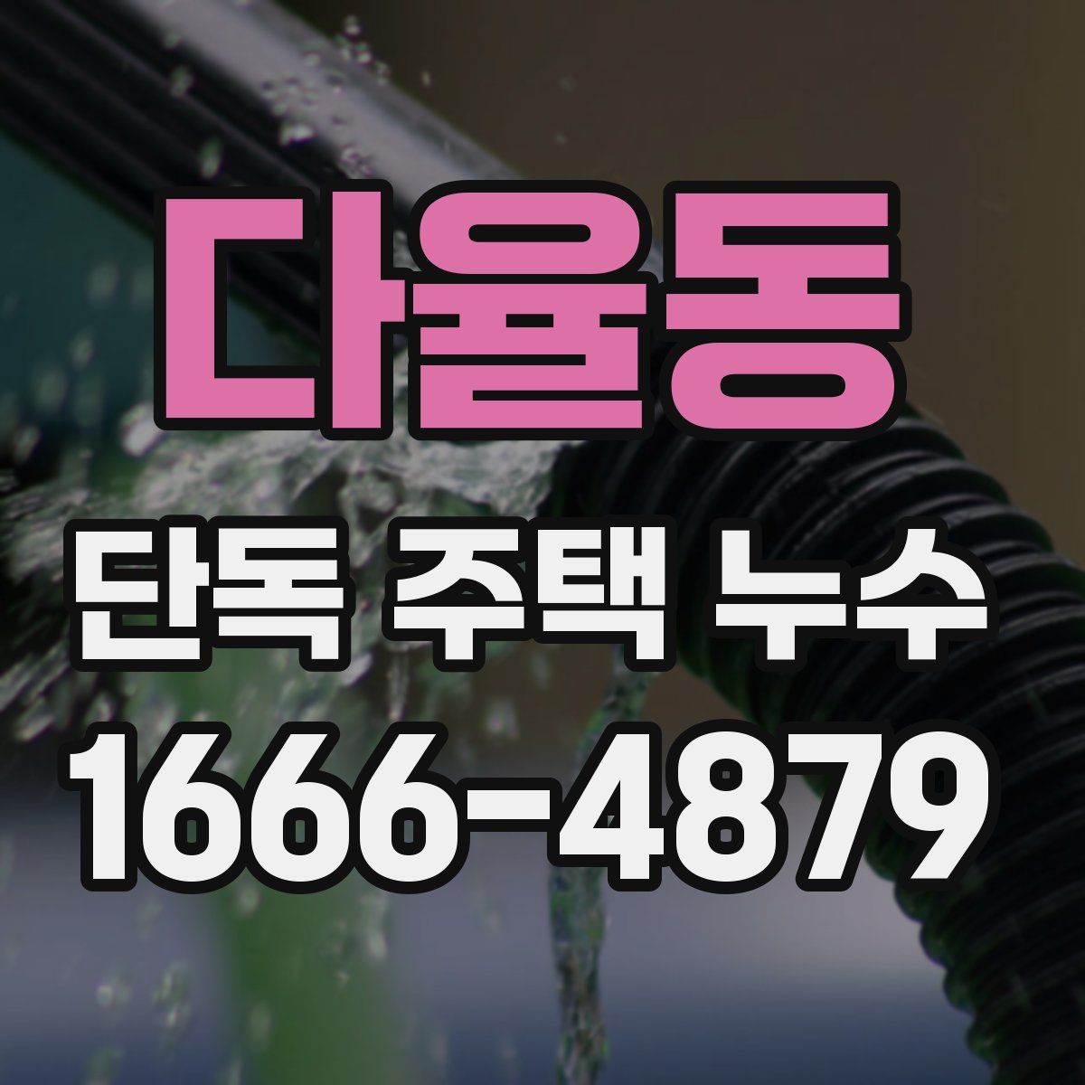 다율동 단독 주택 누수