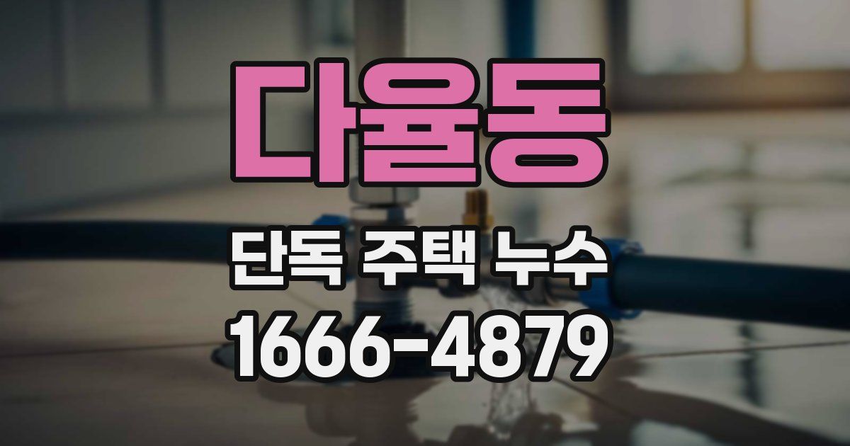 다율동 단독 주택 누수