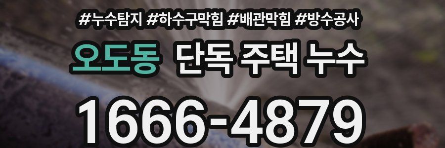 오도동 단독 주택 누수
