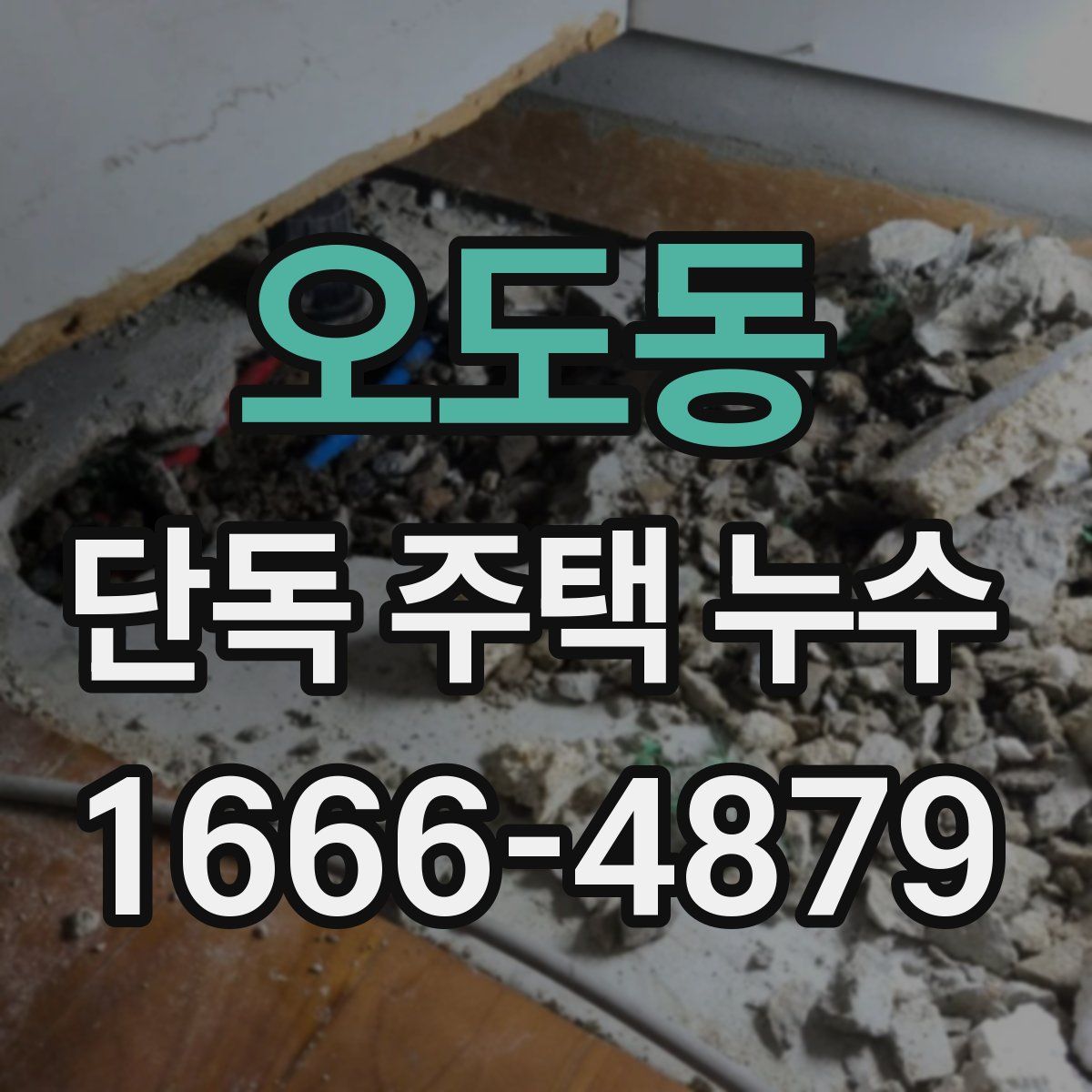 오도동 단독 주택 누수