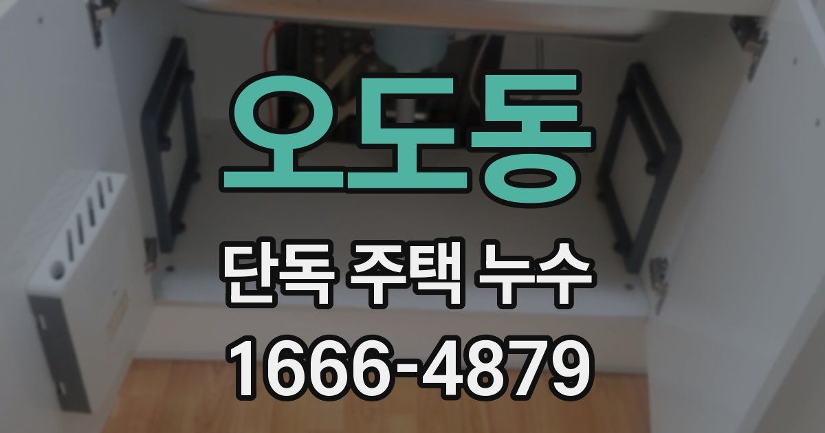 오도동 단독 주택 누수