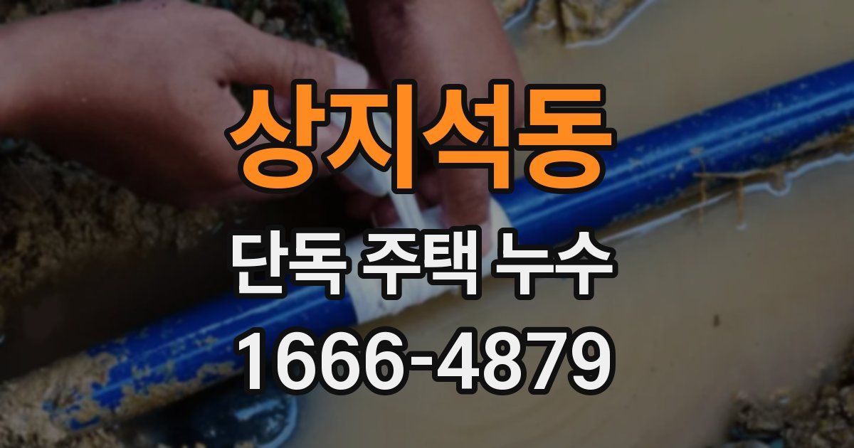 상지석동 단독 주택 누수