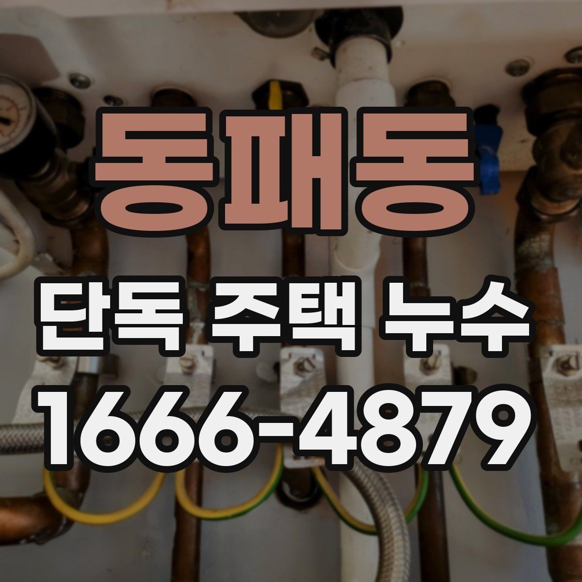 동패동 단독 주택 누수 점검 시 놓치기 쉬운 부분