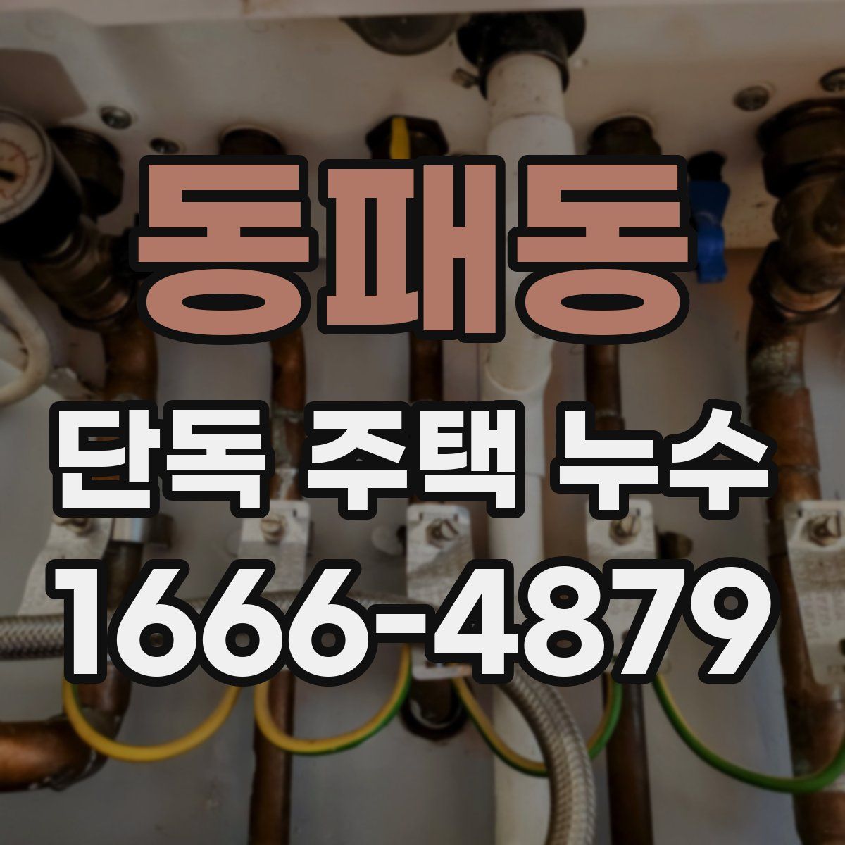 동패동 단독 주택 누수