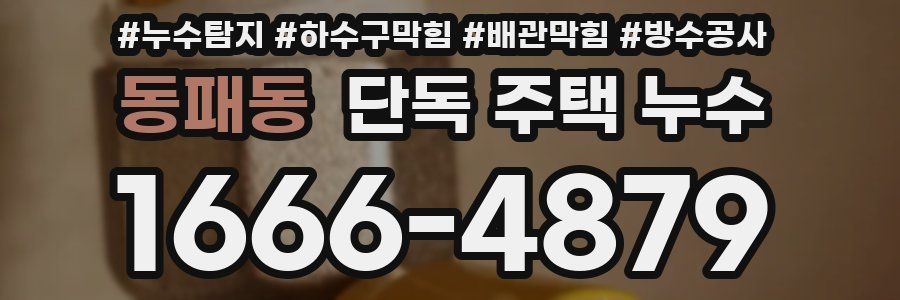동패동 단독 주택 누수