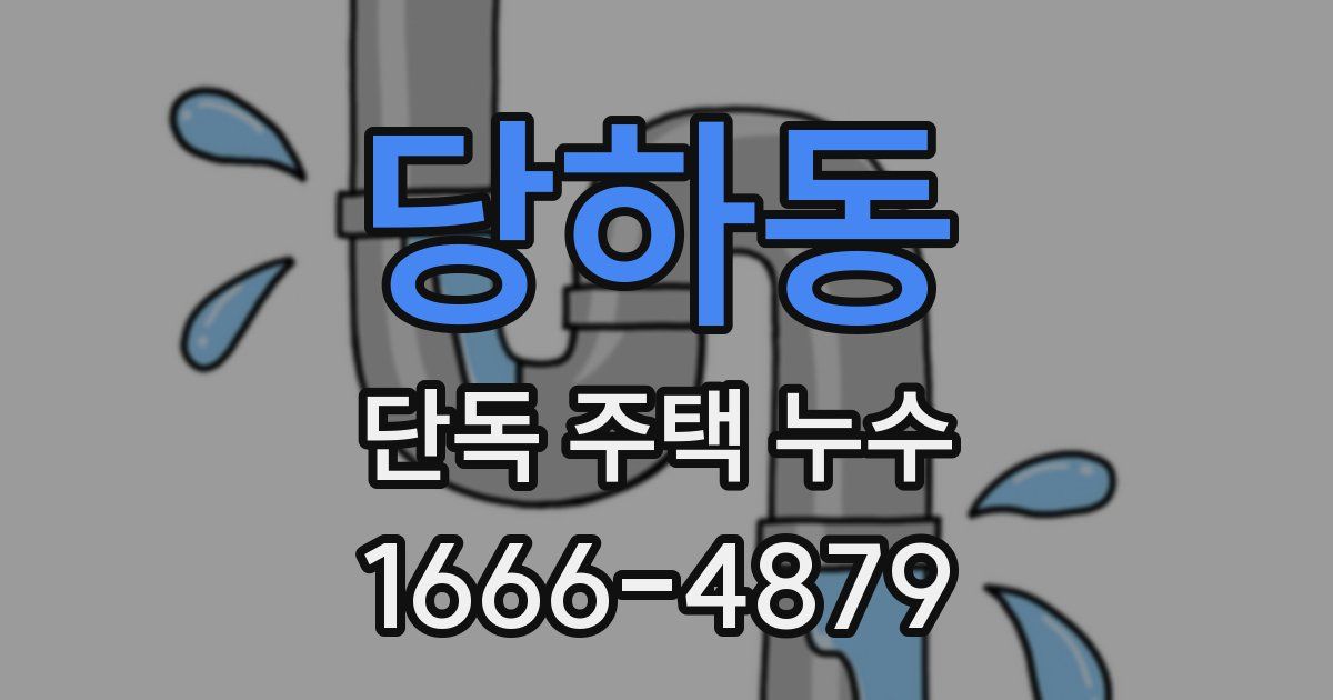 당하동 단독 주택 누수