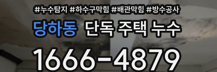 당하동 단독 주택 누수
