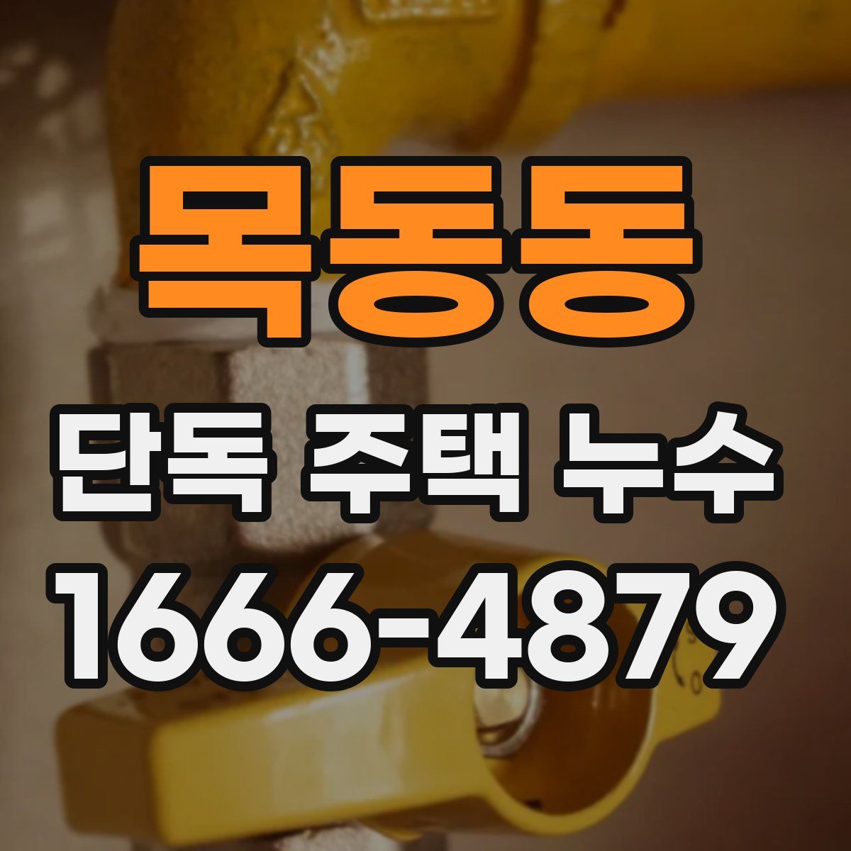 목동동 단독 주택 누수