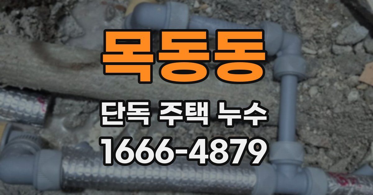 목동동 단독 주택 누수