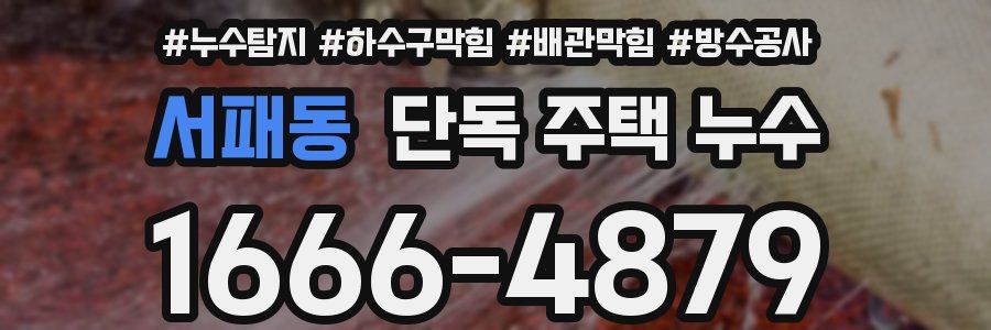 서패동 단독 주택 누수