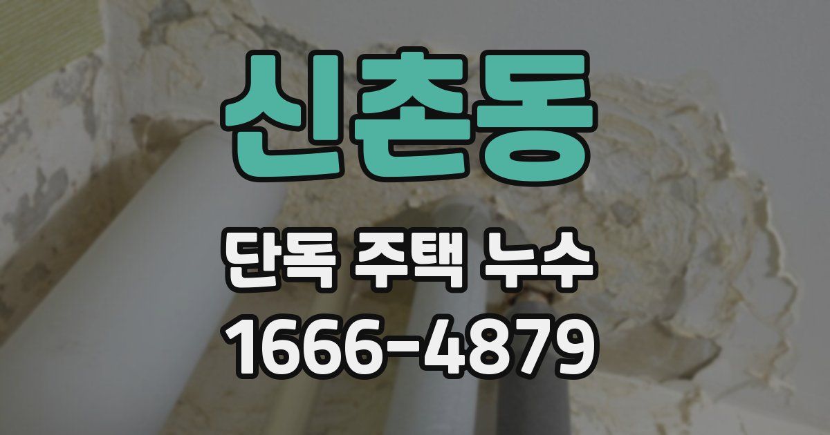 신촌동 단독 주택 누수