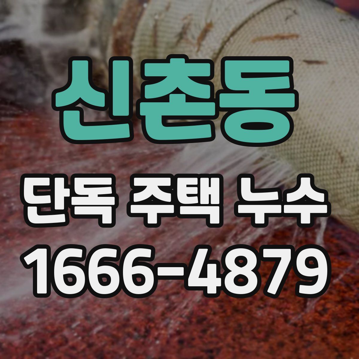 신촌동 단독 주택 누수